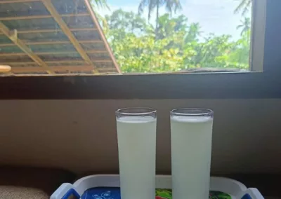 Refreshing Lime Juice